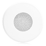 T51-84 - Primary Image